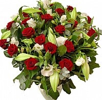 פריחה אדומה פריחה אדומה